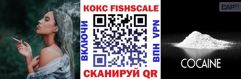 закладки  Южа  COCAIN Эквадор 