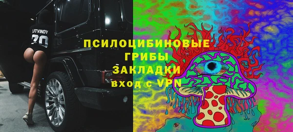 экстази Белокуриха